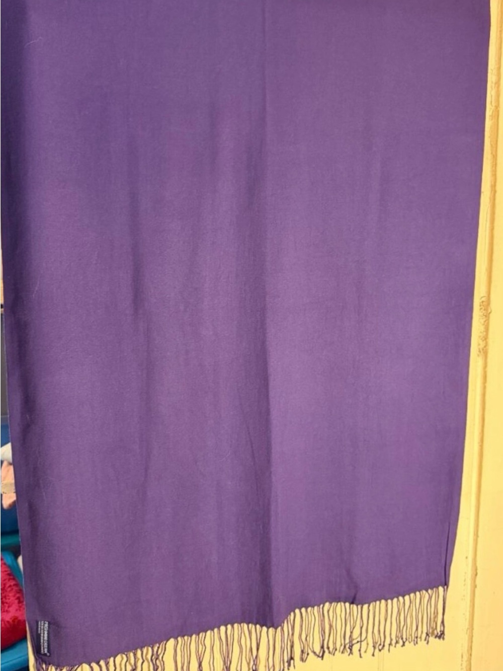Pashmina Dream Eggplant Purple Silk/Cashmere Blend Handmade Fringed Scarf